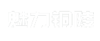 魅力铜陵